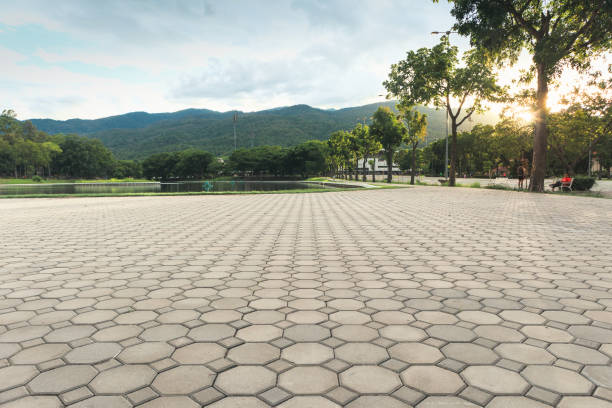Best Driveway Paver Repair  in Rockville, MD